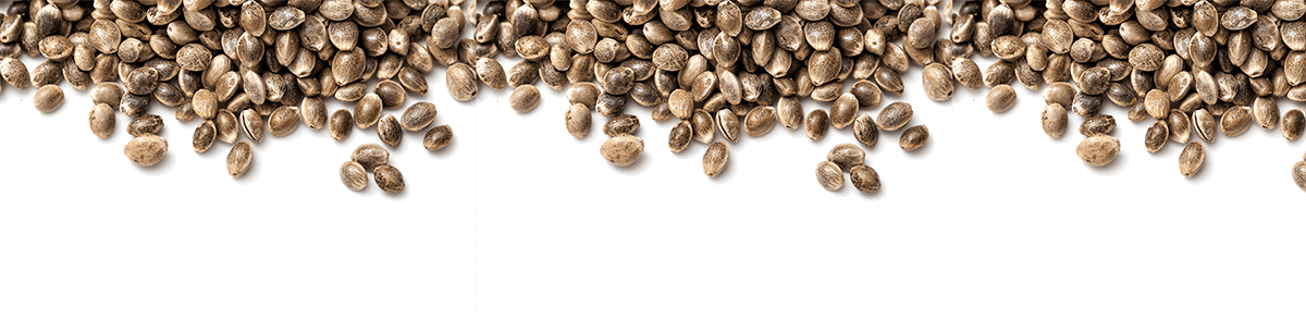قطره سی بی دی CBD و خواص درمانی آن Industrial hemp cbd